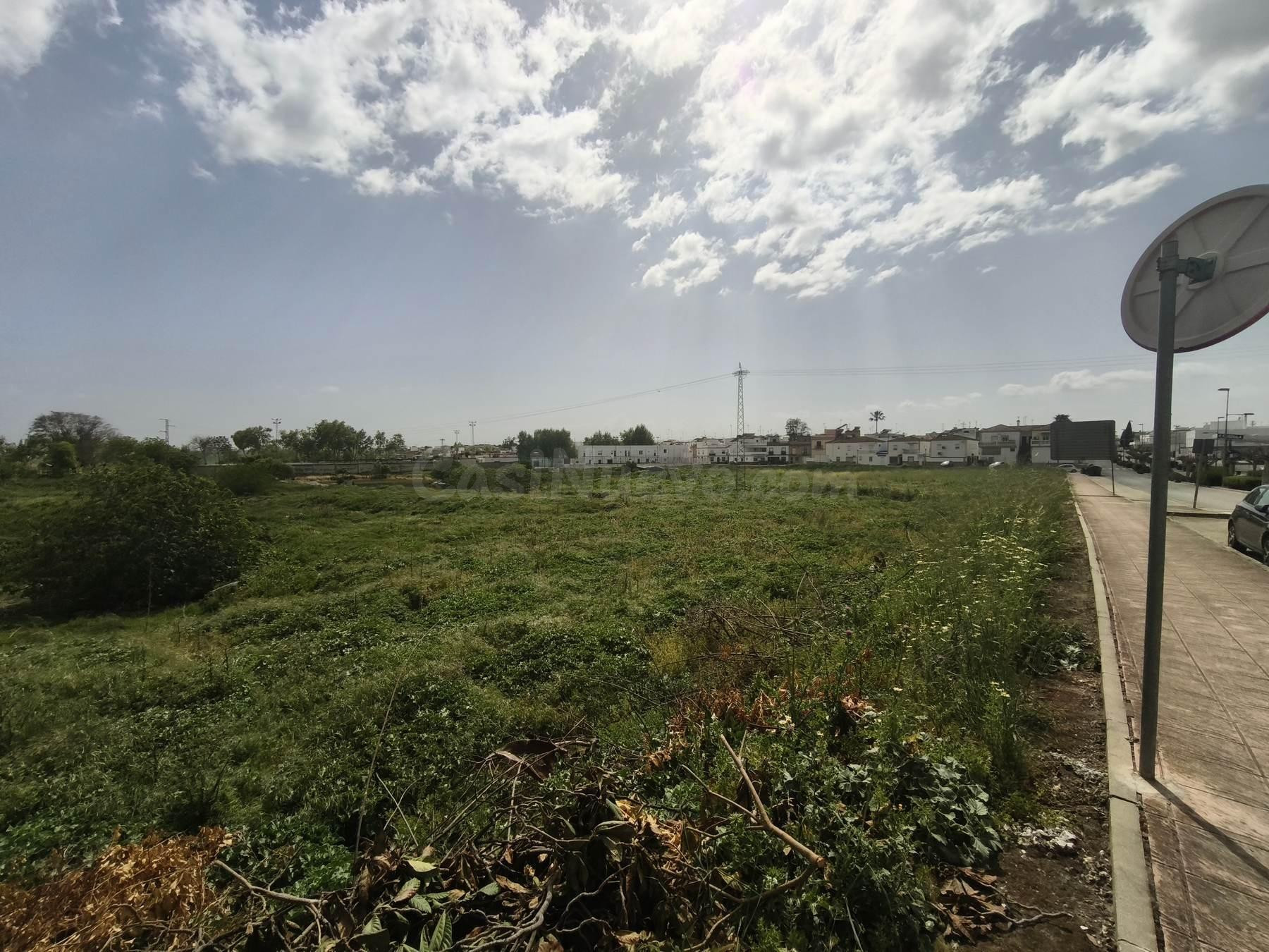Oportunidad de inversión en suelo urbanizable sectorizado en - foto 3