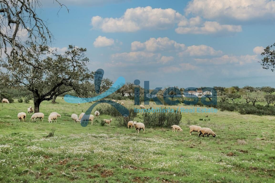 Terreno en venta en La Romanera, Puebla de Guzman. Poligono 