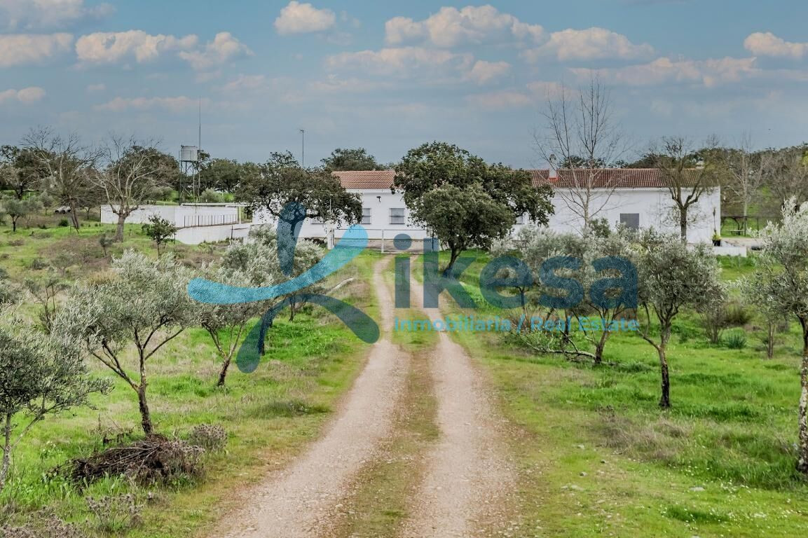 Terreno en venta en La Romanera, Puebla de Guzman. Poligono  - foto 2