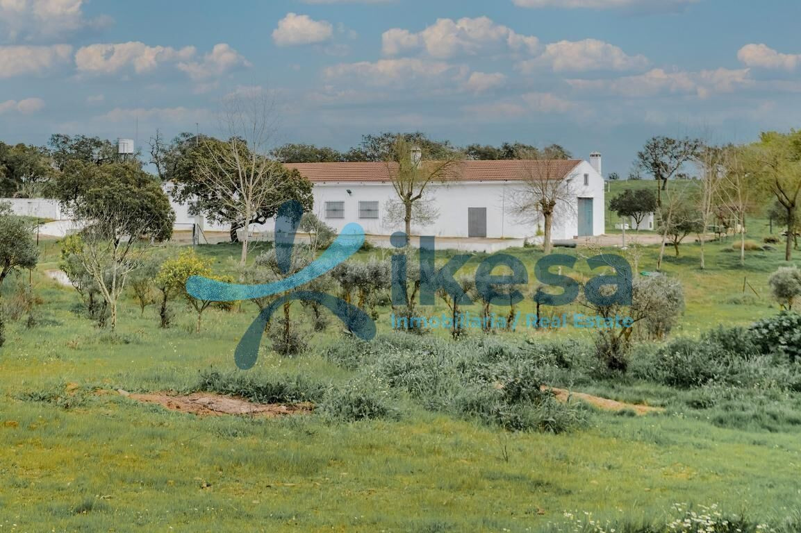 Terreno en venta en La Romanera, Puebla de Guzman. Poligono  - foto 3