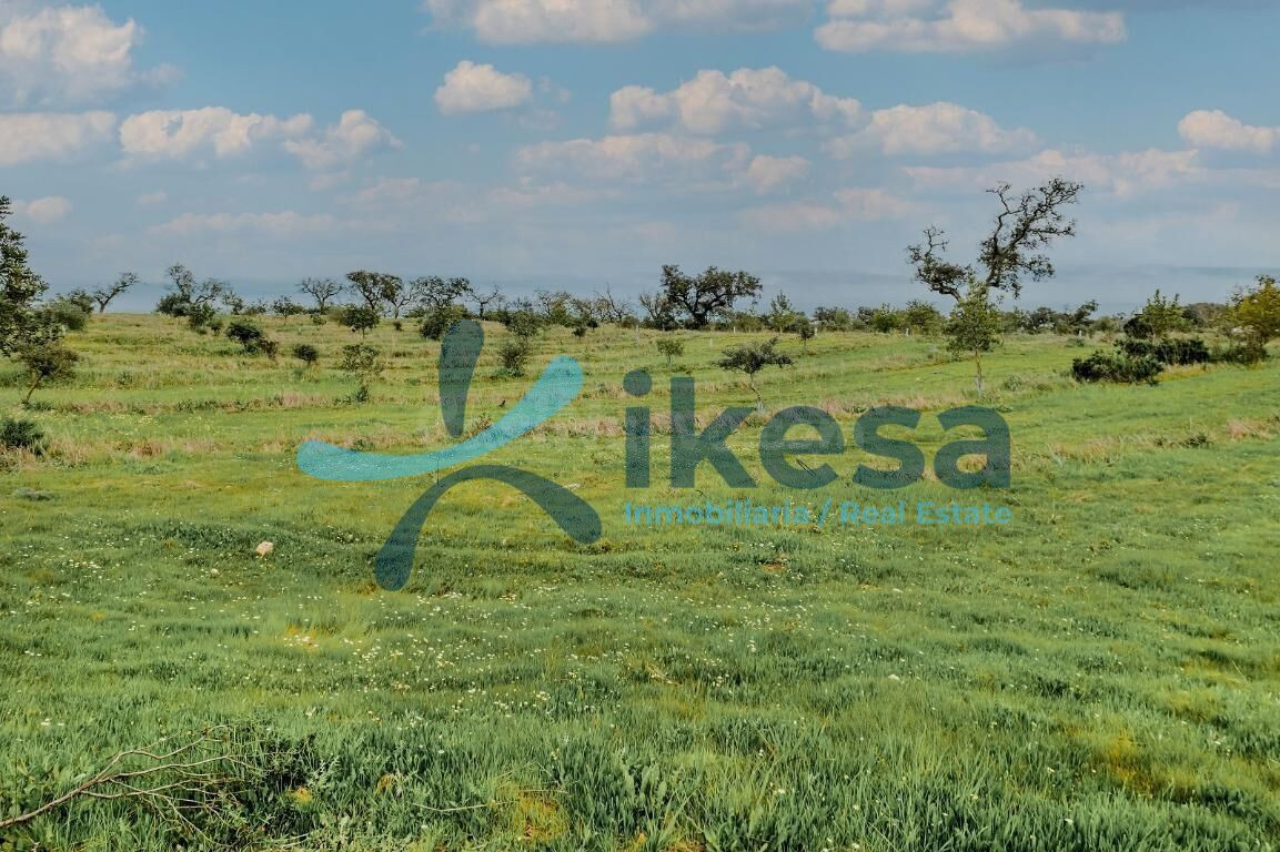 Terreno en venta en La Romanera, Puebla de Guzman. Poligono  - foto 5