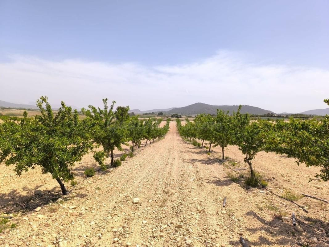 Parcela en venta - Comunidad valenciana