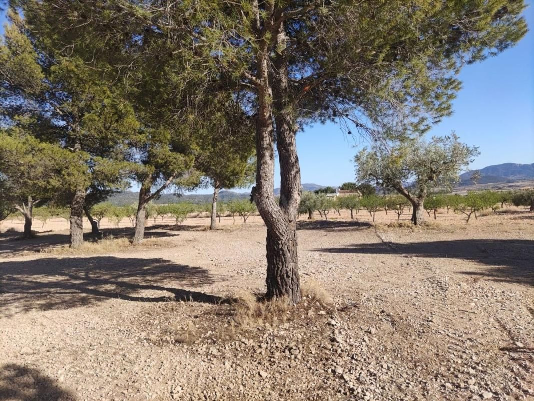 Parcela en venta - Comunidad valenciana