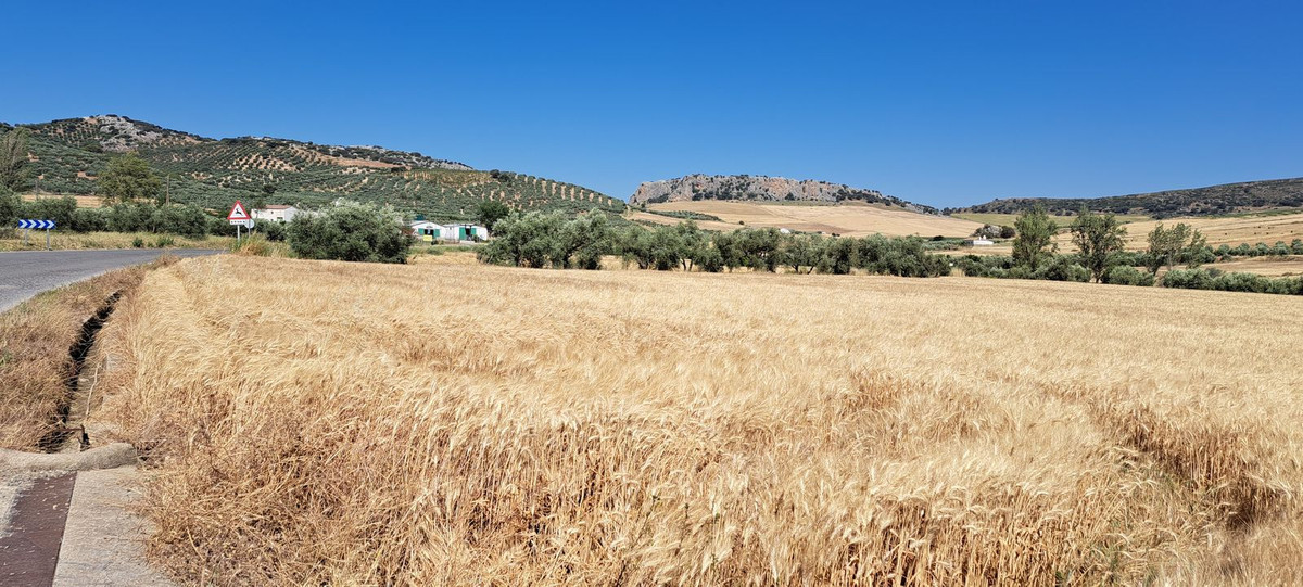 Parcela en venta - Andalucia - foto 4