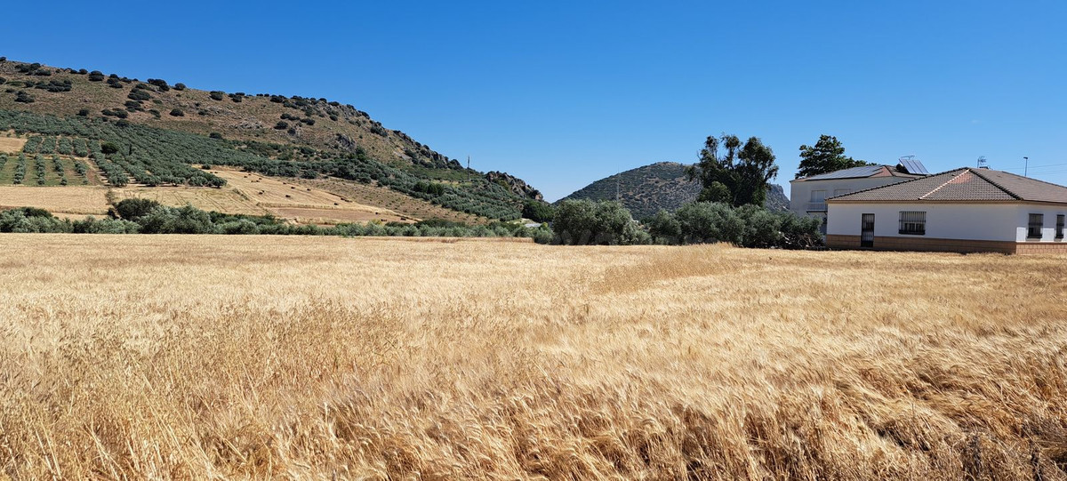 Parcela en venta - Andalucia - foto 5