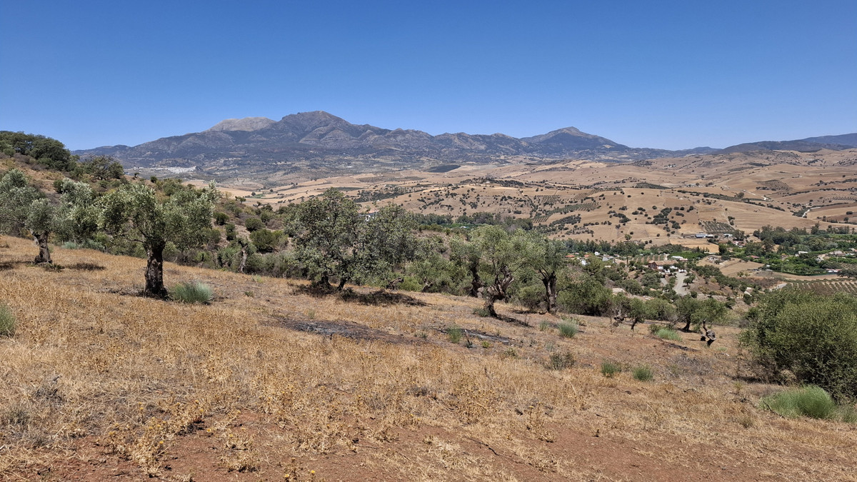 Terreno amplio en Marbella con vistas panorámicas y cercanía urbana