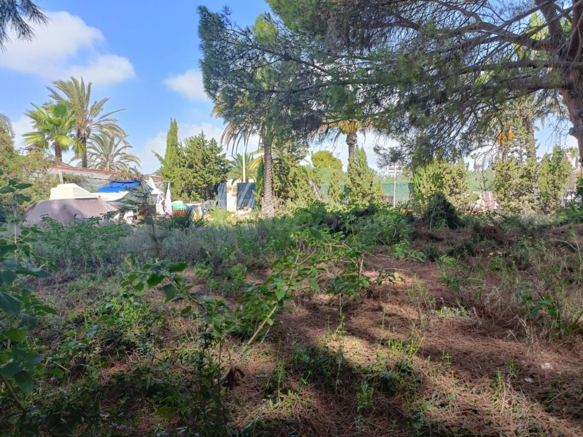 Parcela en venta - Cabo Roig - foto 3