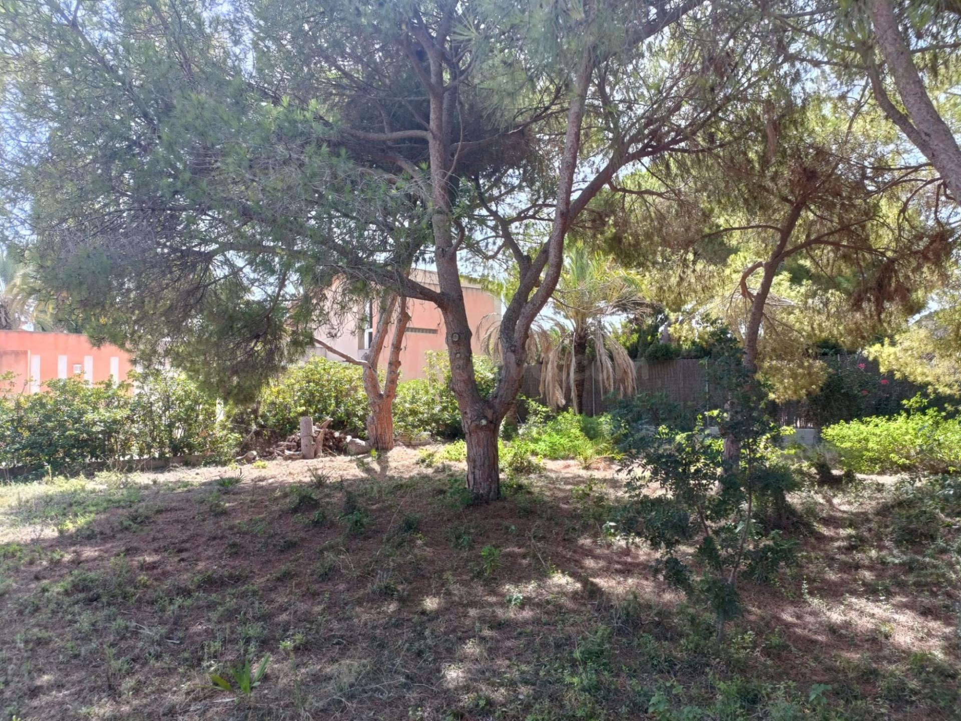 Parcela en venta - Cabo Roig - foto 5