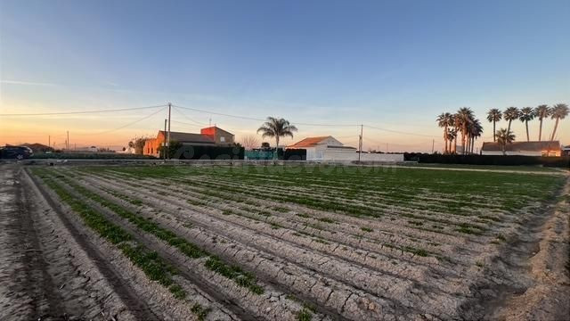 Terreno rústico Dolores Alicante con potencial constructivo - foto 2