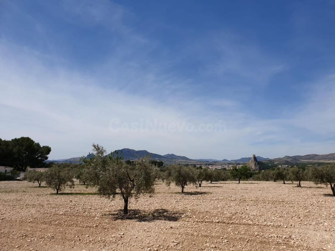 Terreno agrícola con árboles frutales y vistas al castillo e