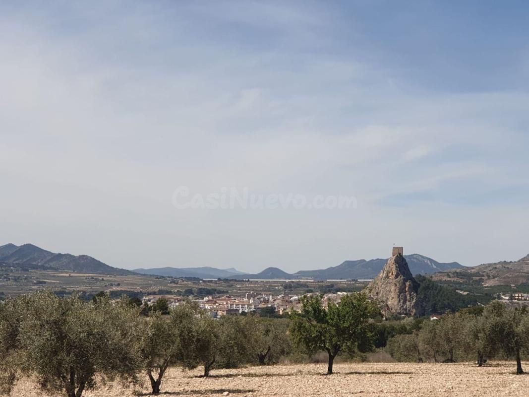 Terreno agrícola con árboles frutales y vistas al castillo e - foto 5