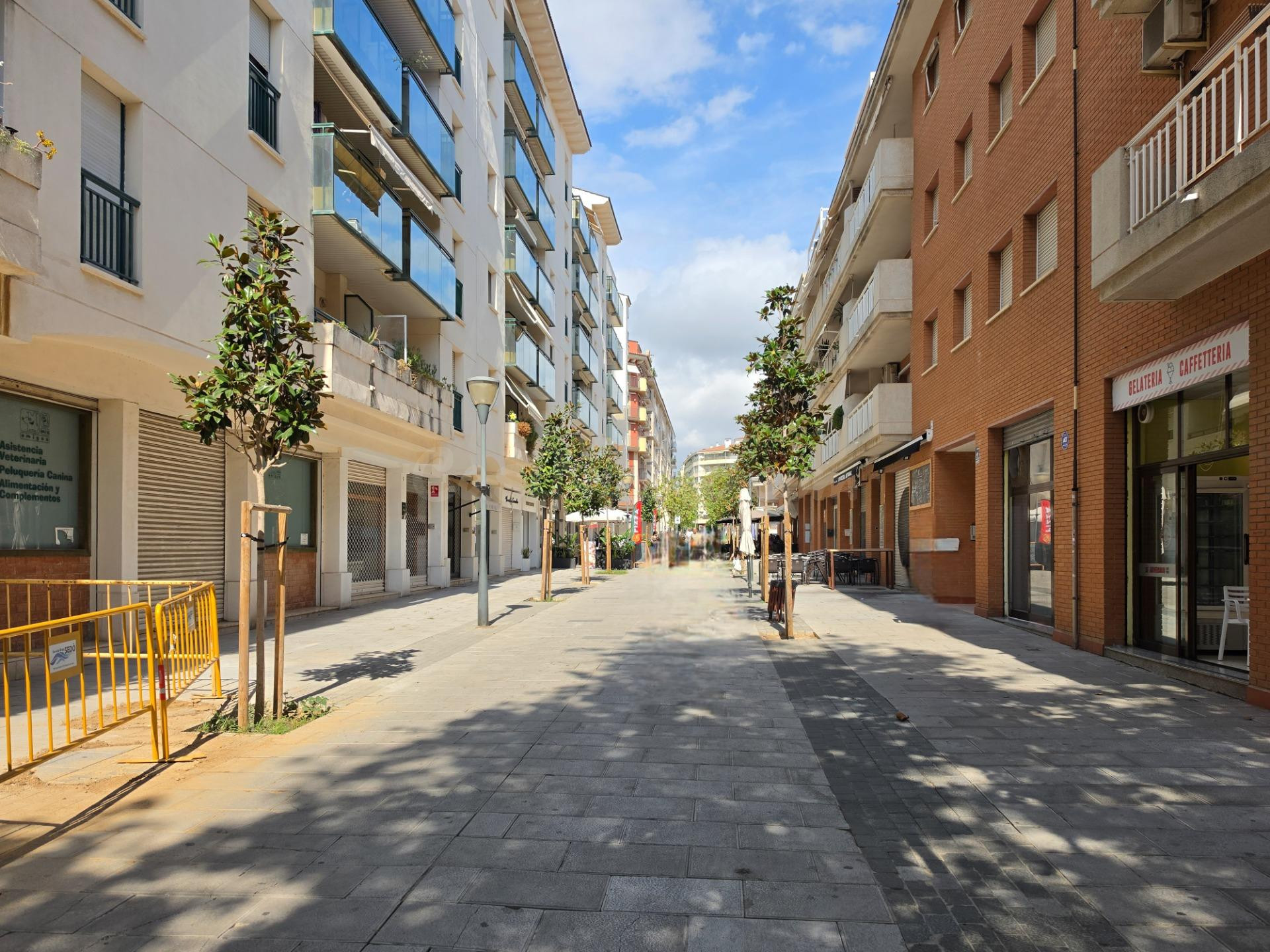 LOCAL COMERCIAL DE 60 M2 EN UNA DE LAS ZONAS MÁS TRANSITADAS - foto 3