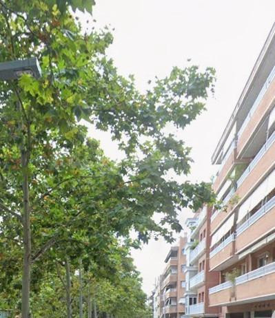 VENTA EN CONDICIONES ESPECIALES - MODALIDAD CESIÓN DE REMATE