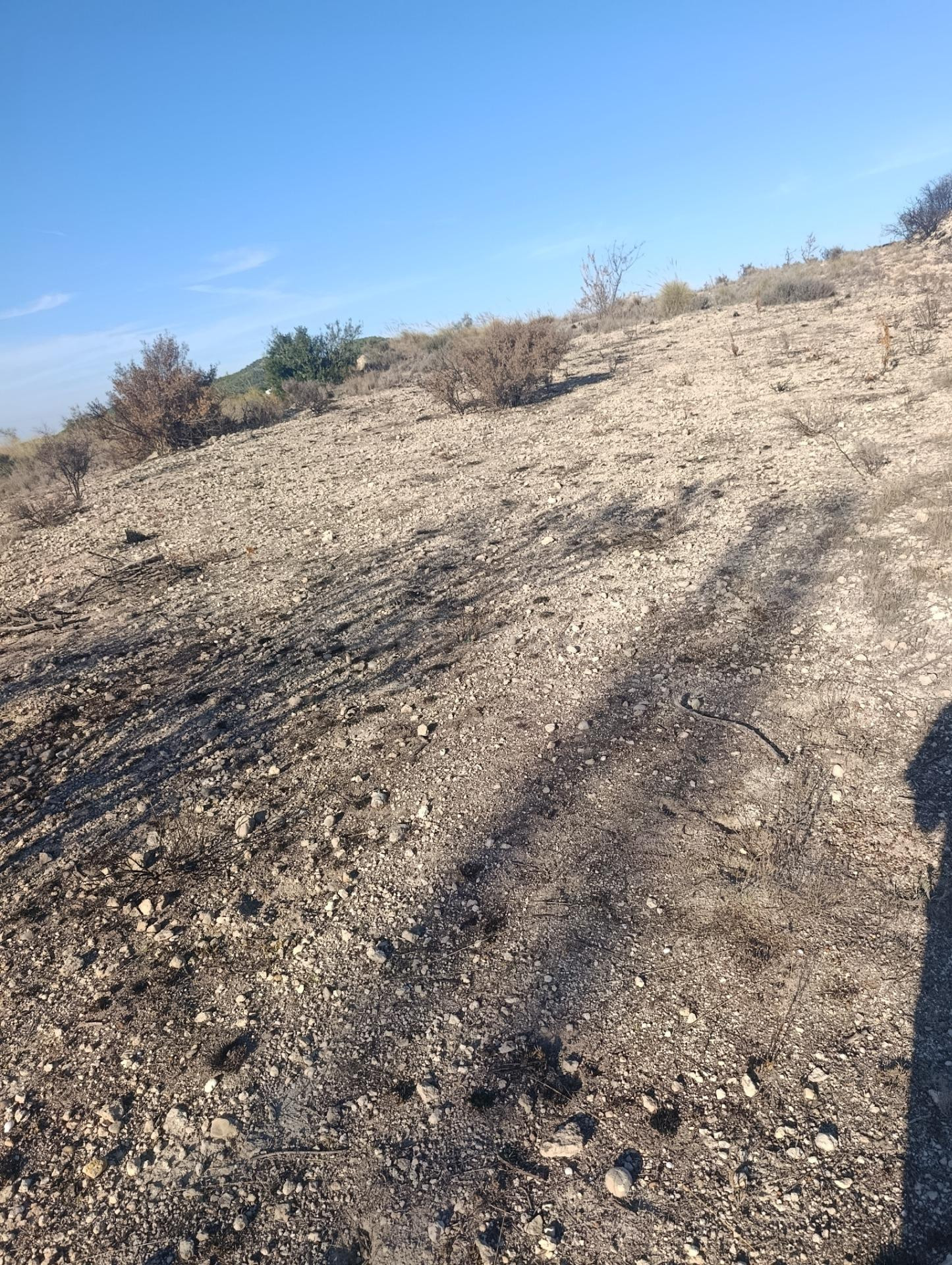 PARCELA INDUSTRIAL DE 4.568 M2 JUNTO AL POLÍGONO INDUSTRIAL MARIMINGO II