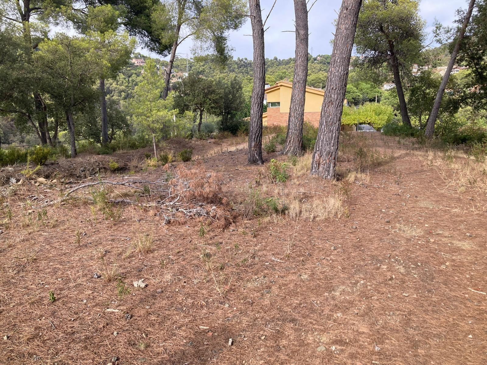 2 SOLARES EDIFICABLES EN VENTA EN SANTA SUSANNA - foto 3