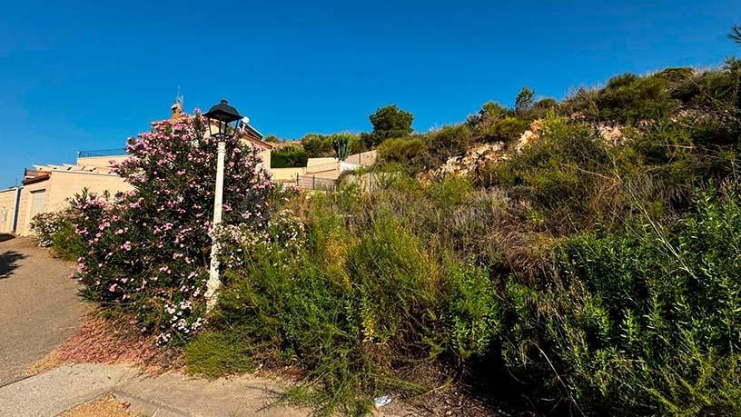 Parcela en venta - South of spain - foto 2