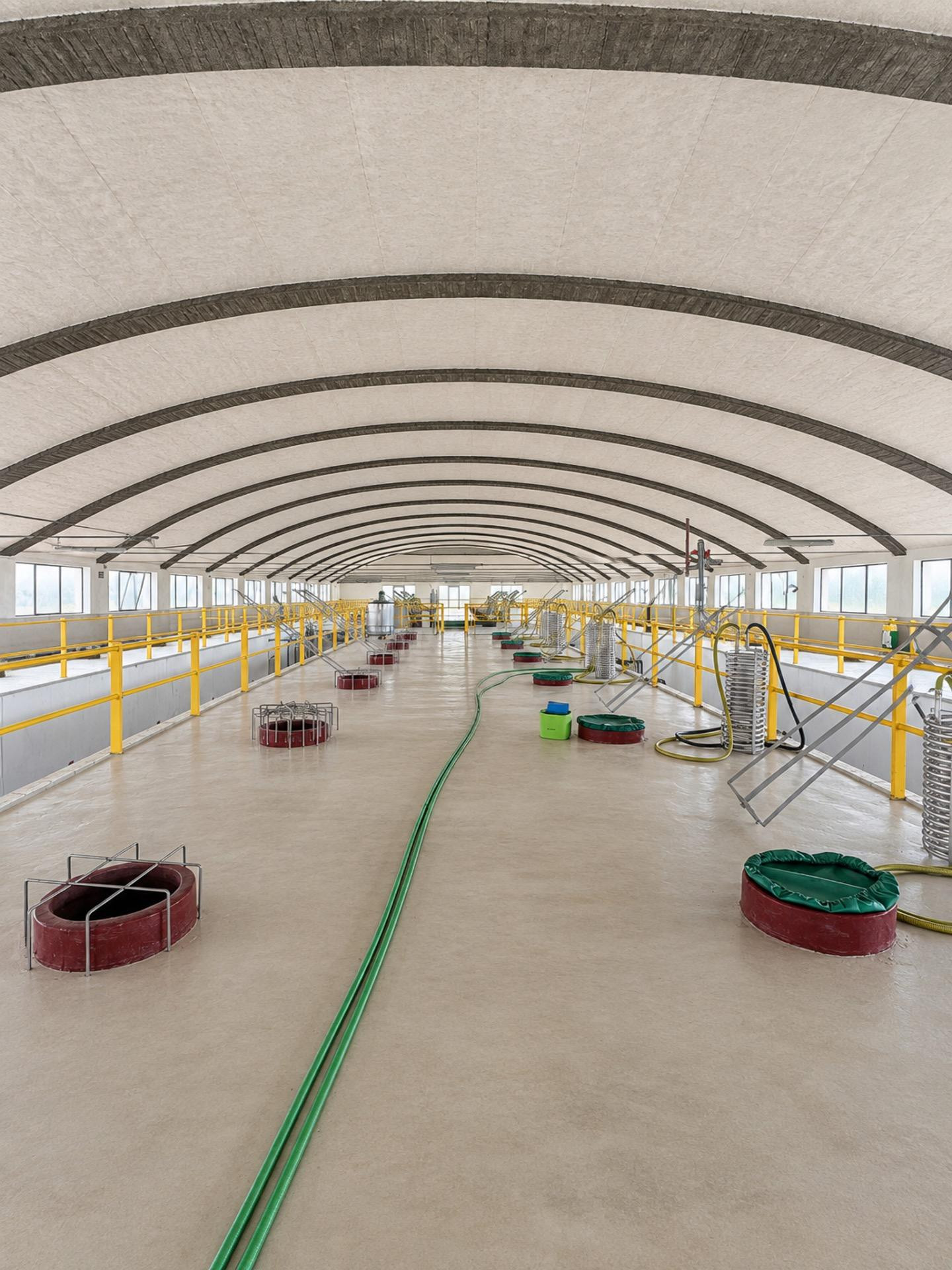 BODEGA DE PRODUCCIÓN D.O. PENEDÈS - foto 3