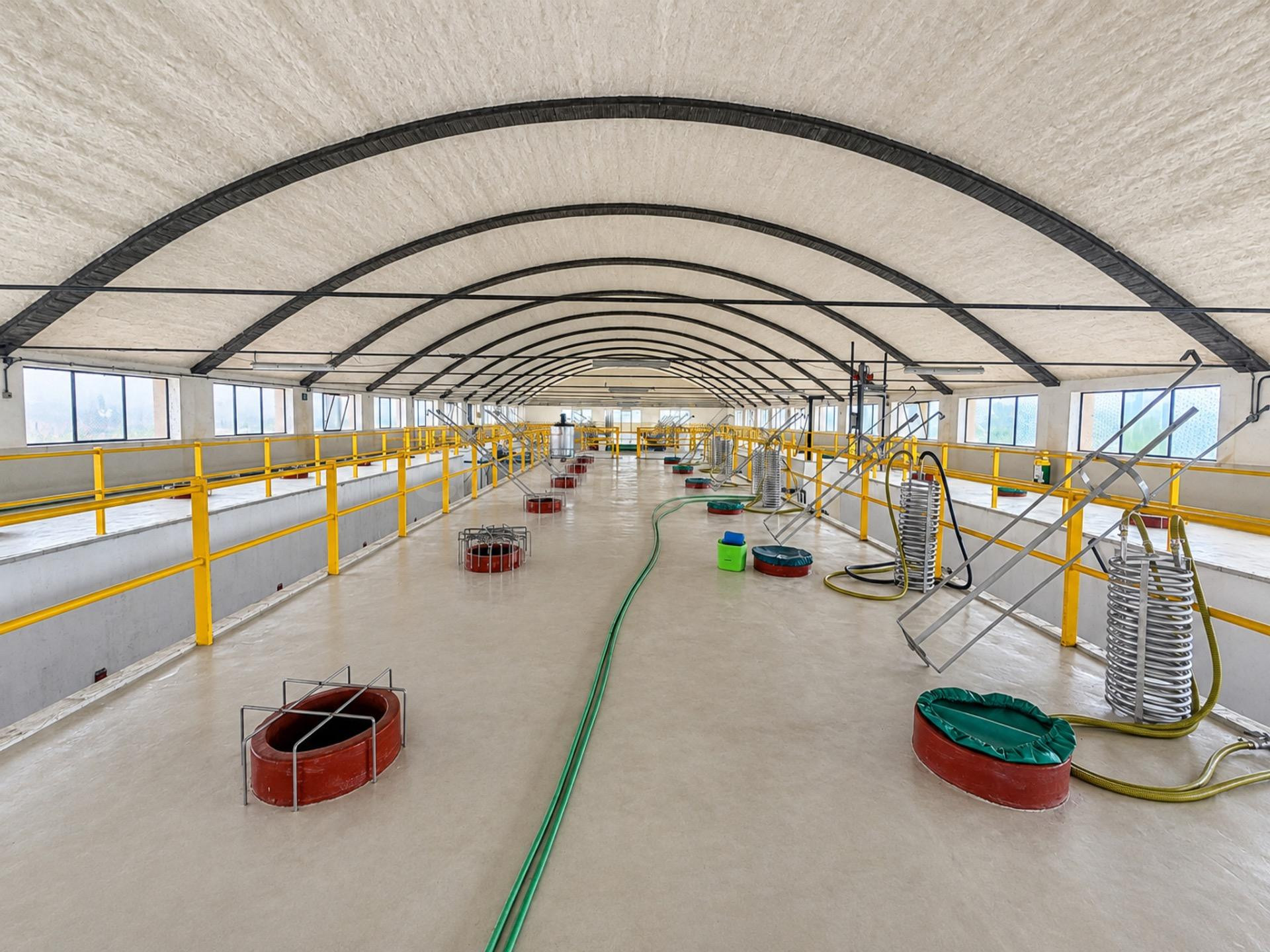 BODEGA DE PRODUCCIÓN D.O. PENEDÈS