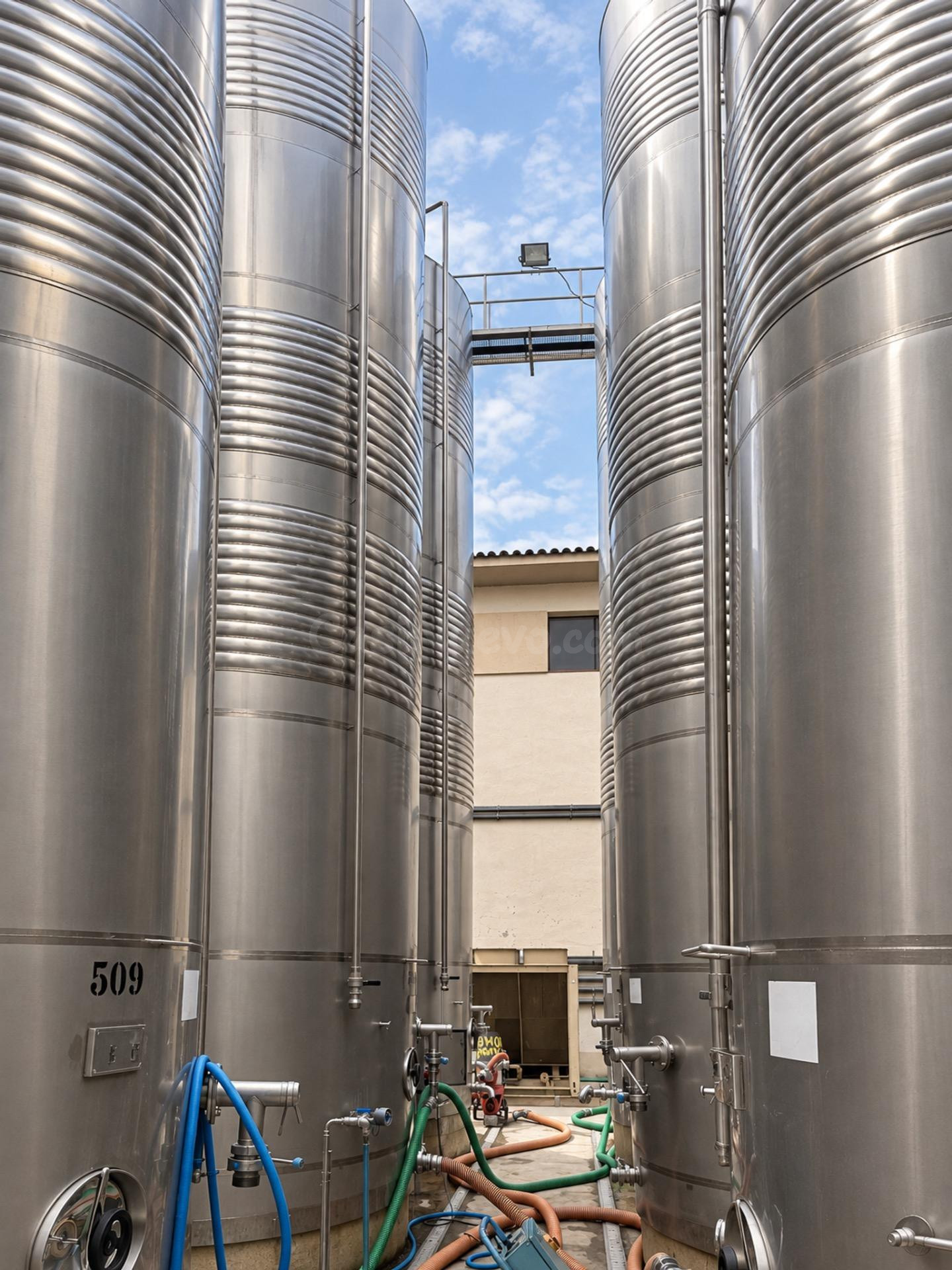 BODEGA DE PRODUCCIÓN D.O. PENEDÈS - foto 5