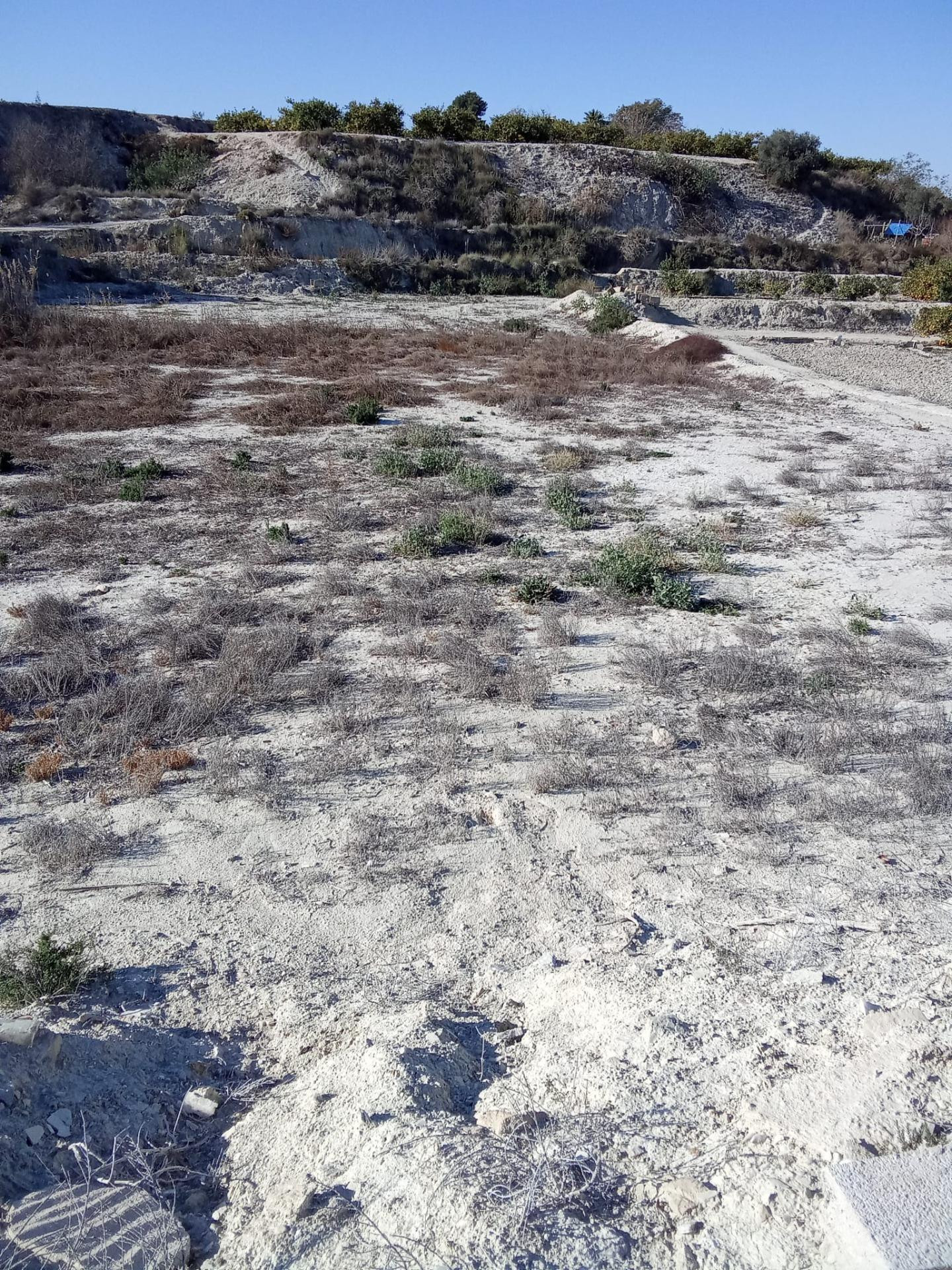 Terreno rústico agrario de regadío de 2.538 m2 en Alguazas