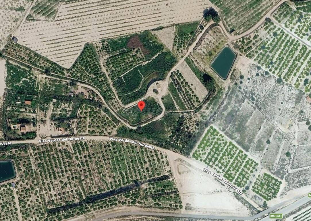 Terreno rústico agrario de regadío de 2.538 m2 en Alguazas - foto 2
