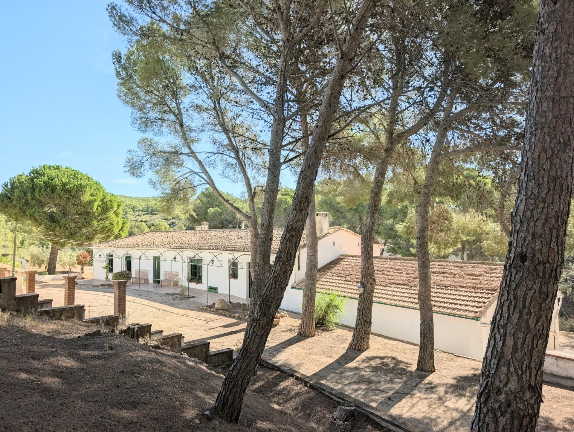 En venta singular finca rústica en la falda de Onil a tan so - foto 3
