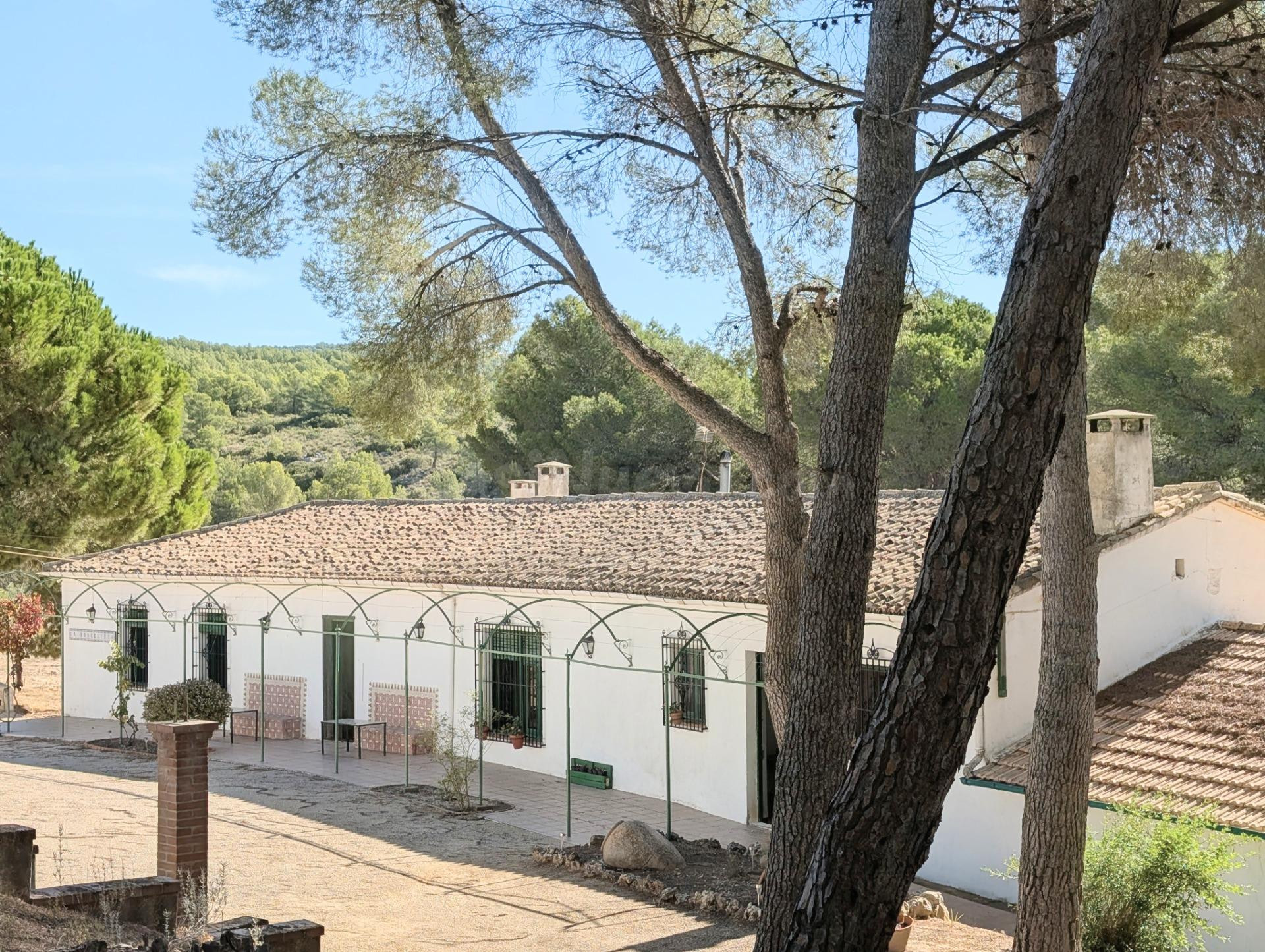 En venta singular finca rústica en la falda de Onil a tan so - foto 4