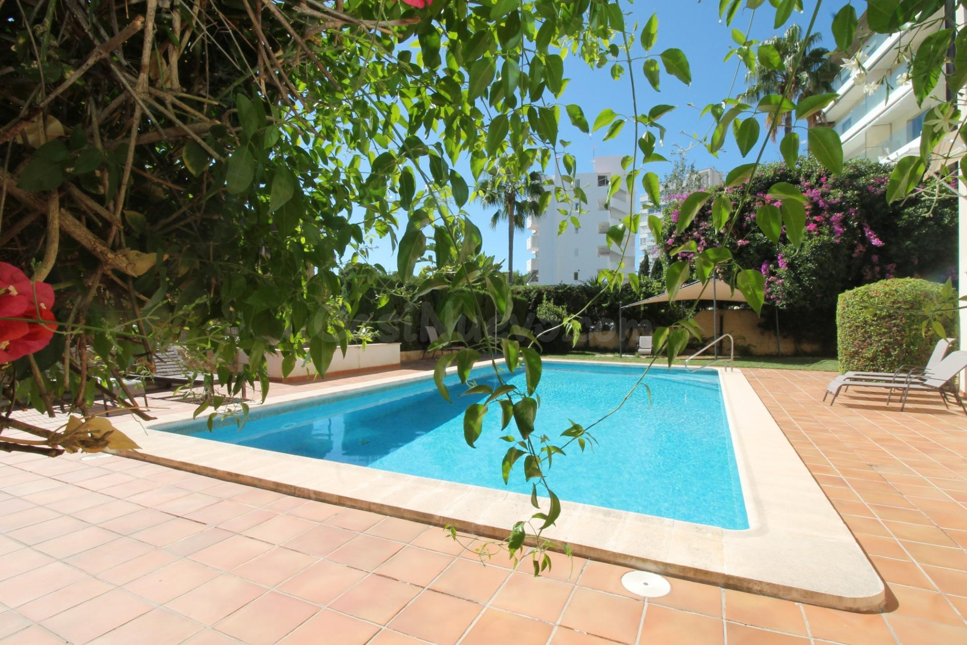PLANTA BAJA CON JARDIN , GARAJES, TRASTERO Y PISICINA COMUNI - foto 3