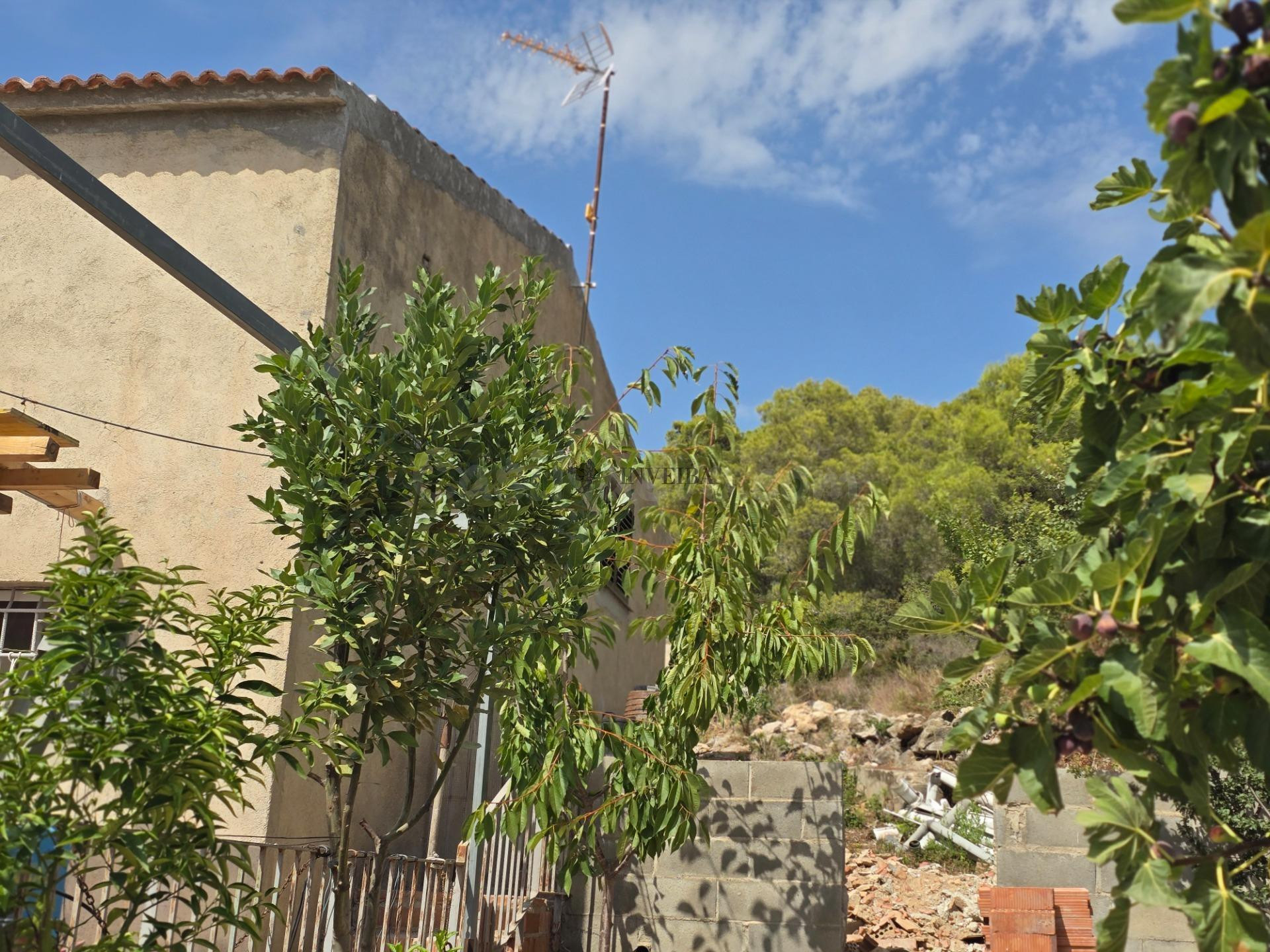 casa rodeada de zona verde - foto 4