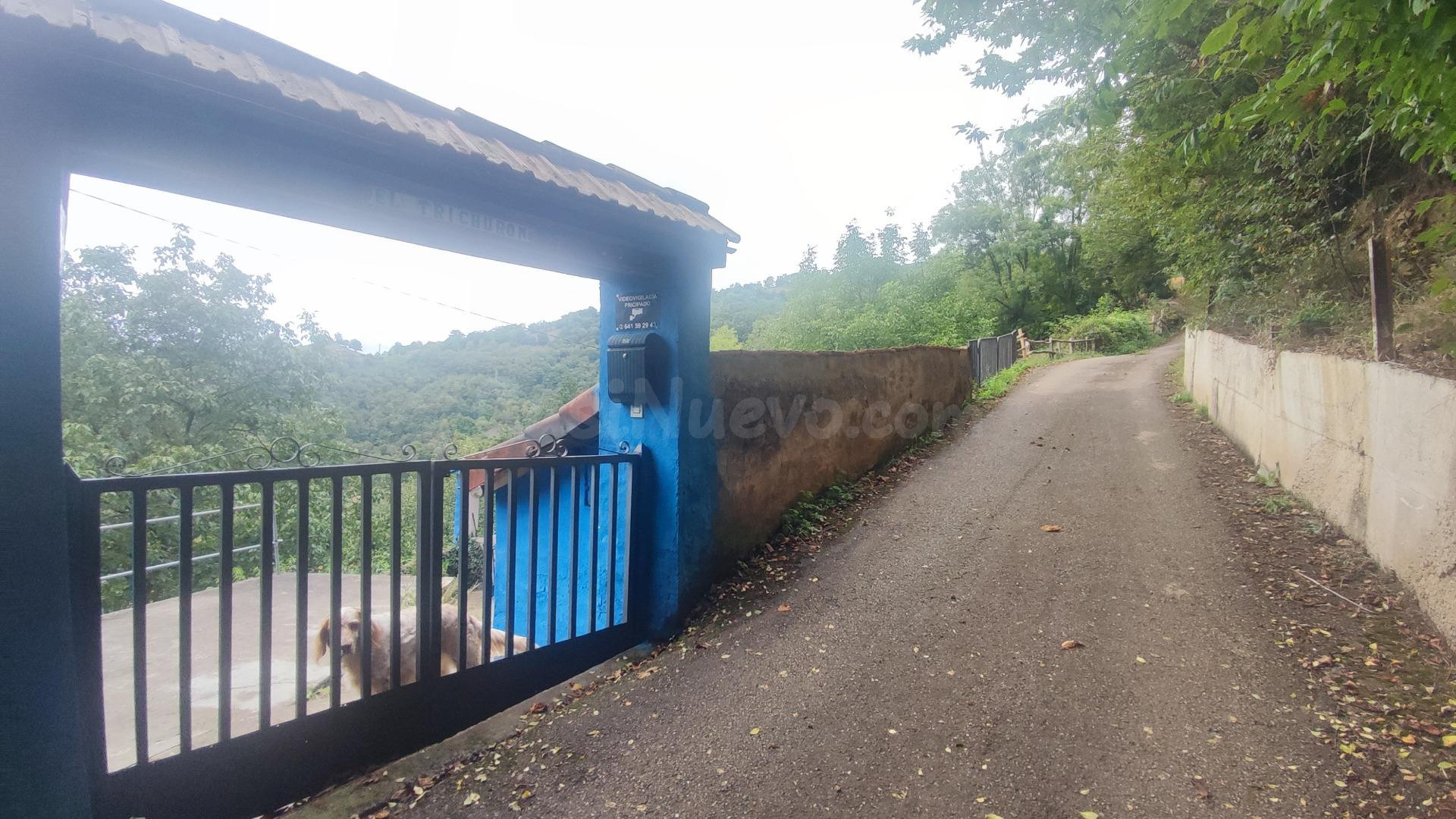 CASA EN MISIEGO VALLE DE TURON - foto 4