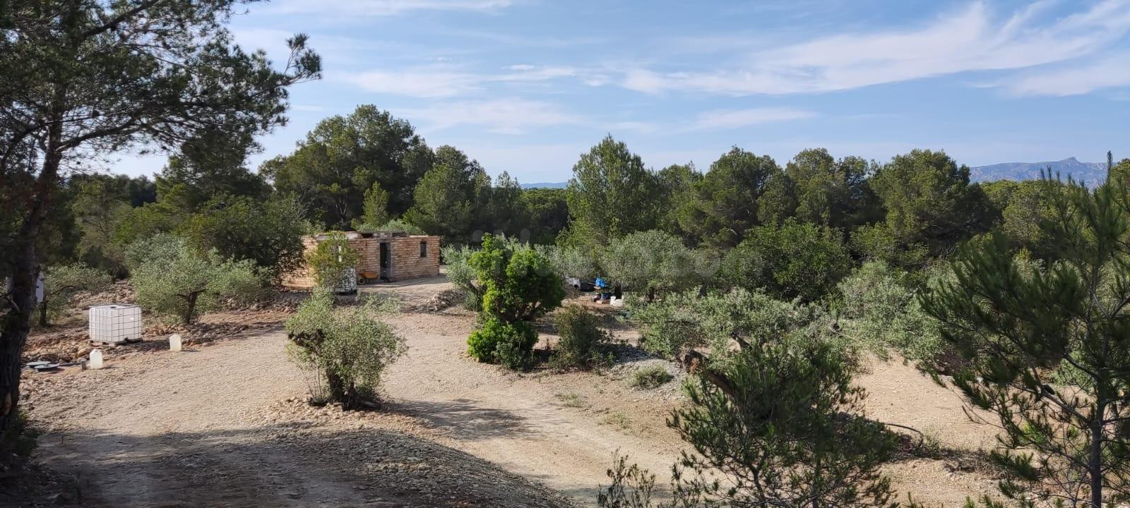 Finca rústica de 30.000 m2 en plena naturaleza a solo 6 km del mar en l’Ametlla de Mar