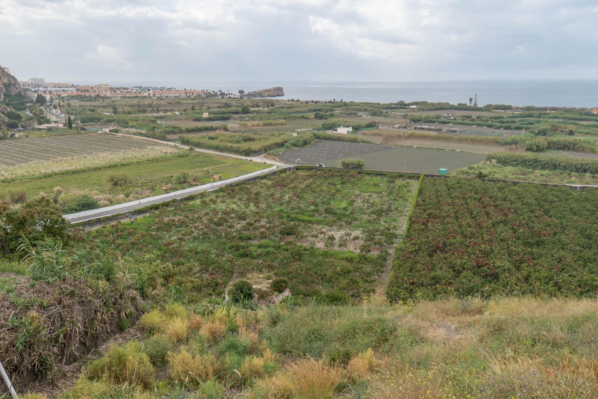 Finca con unas vistas de ensueño en Salobreña - foto 2