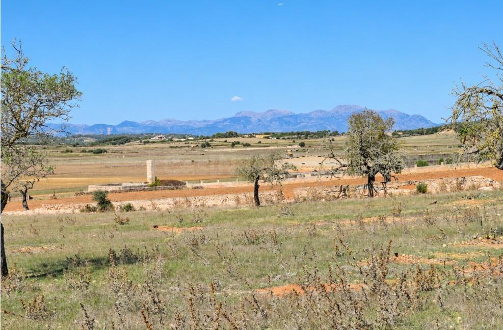 Finca rústica con posibilidad de vivienda en Ariany