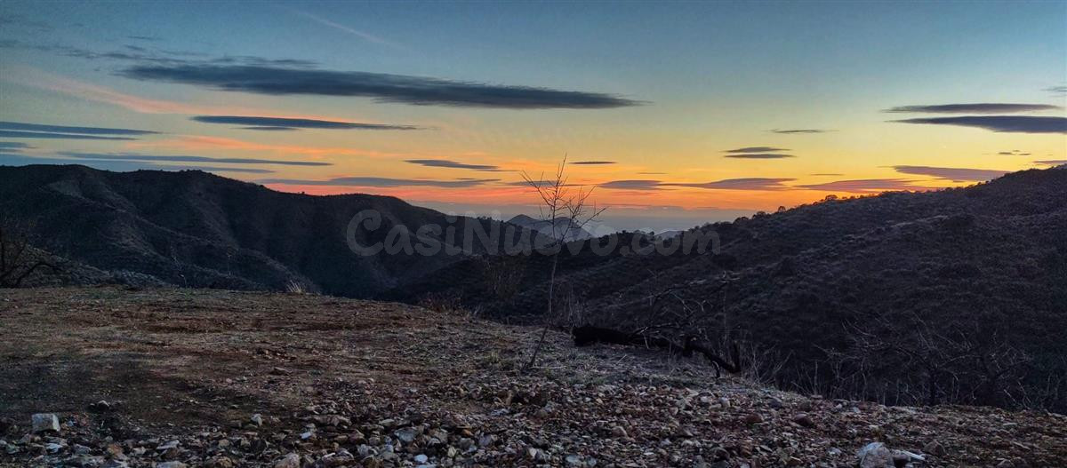 Terreno rústico de 11835 m² en Marbella para cultivo o inversión