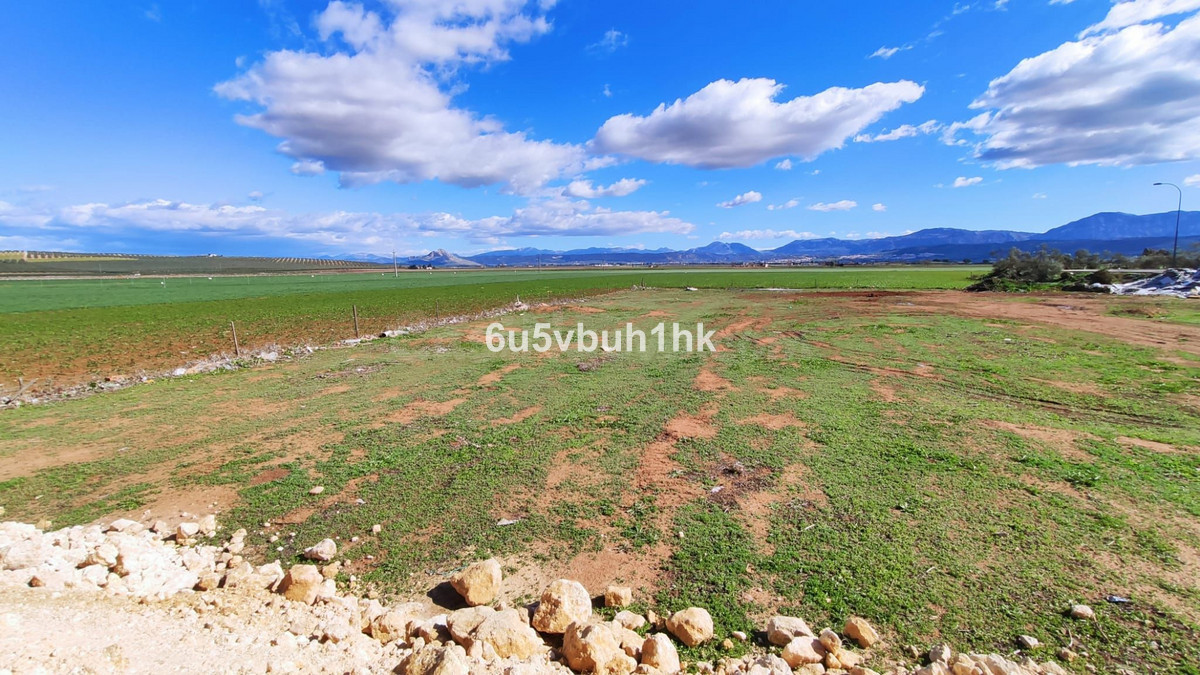 Parcela en venta - Andalucia - foto 4