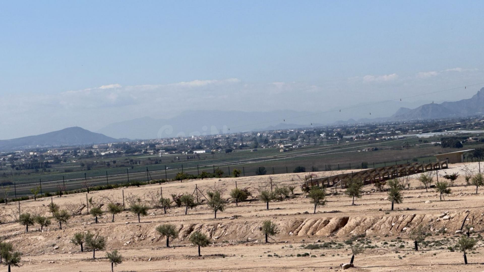Terreno rústico para proyecto en San Fulgencio (Comunidad Va - foto 4