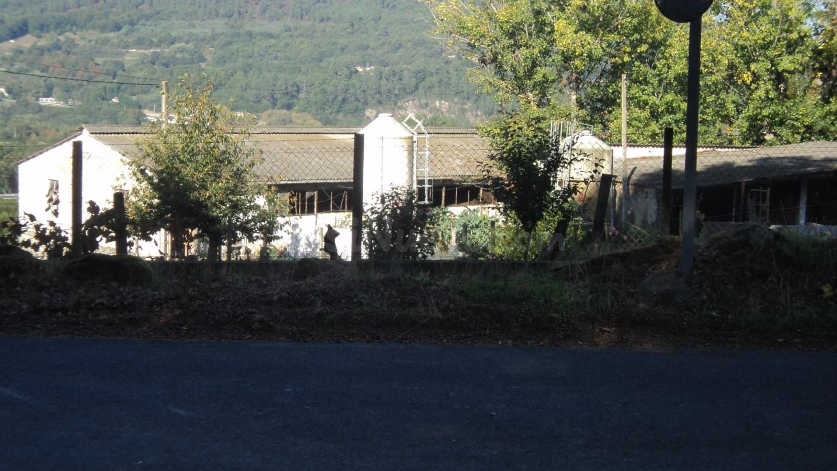 Venta rústica en Celanova - foto 2