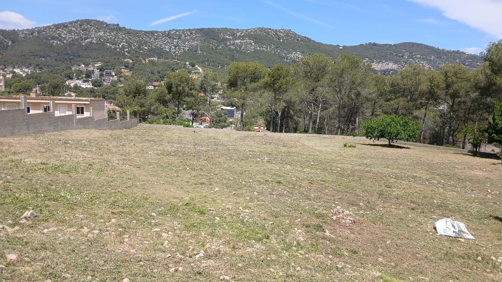 TERRENO/PARCELA EN CANYELLES - foto 3