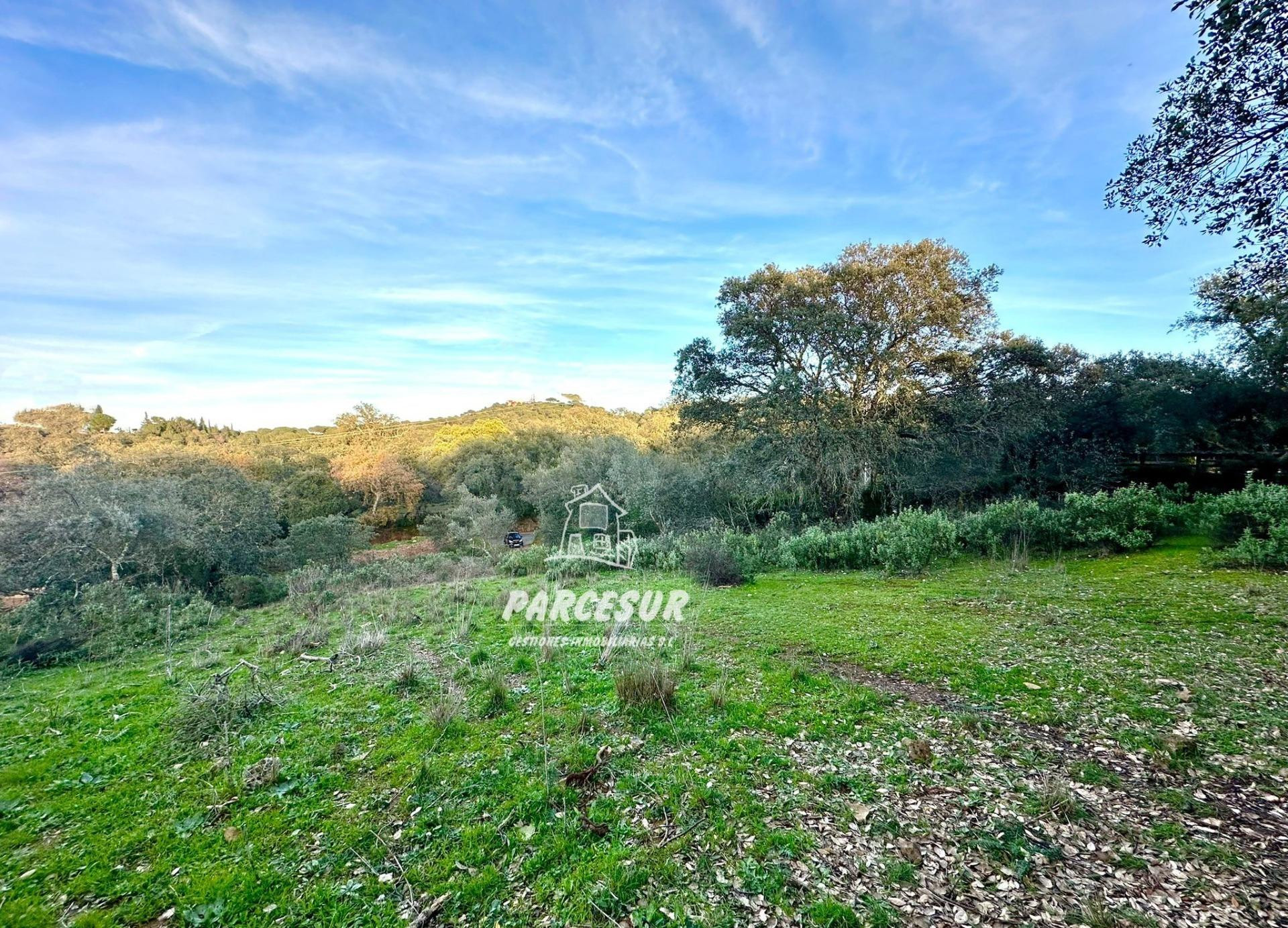 PARCELA EN ZONA ASSUAN MUY BIEN SITUADA DE 6000 m2 aprox.