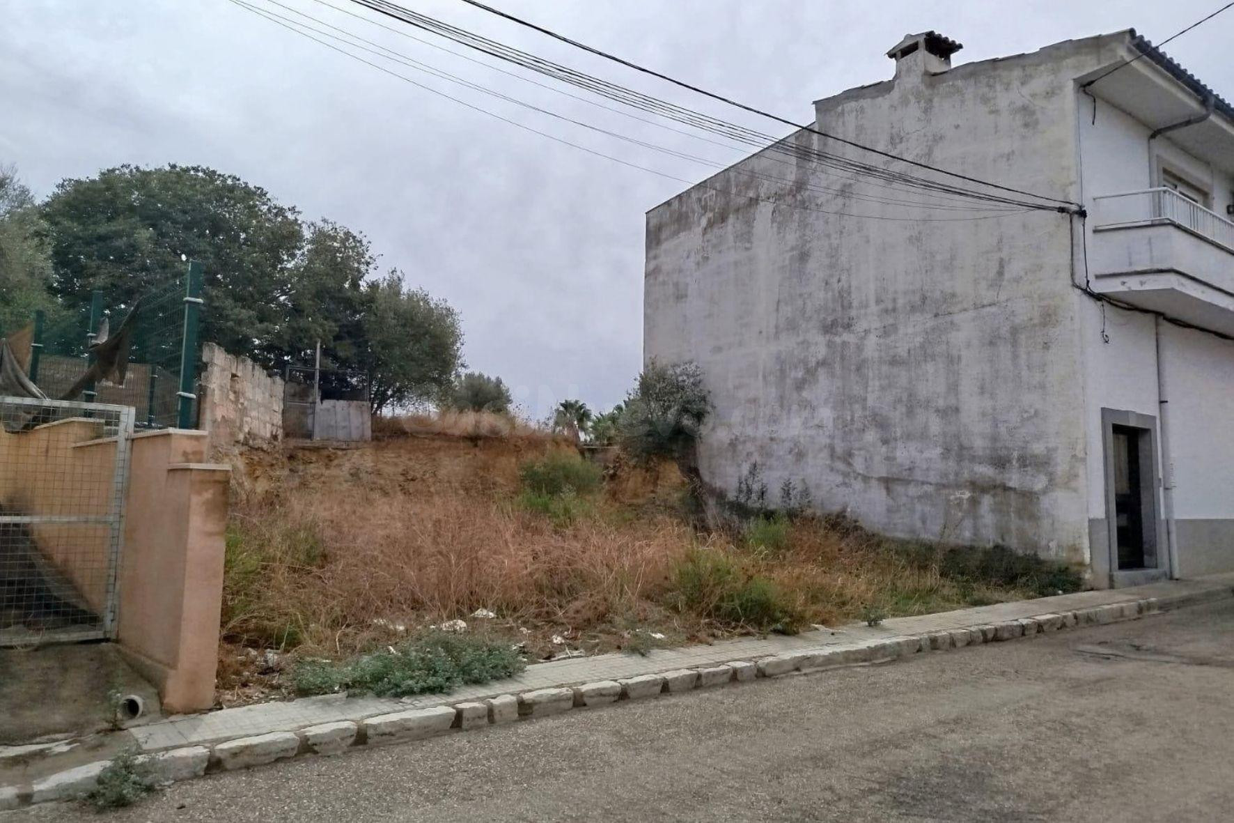 Solar urbano en Maria de la Salut - foto 4