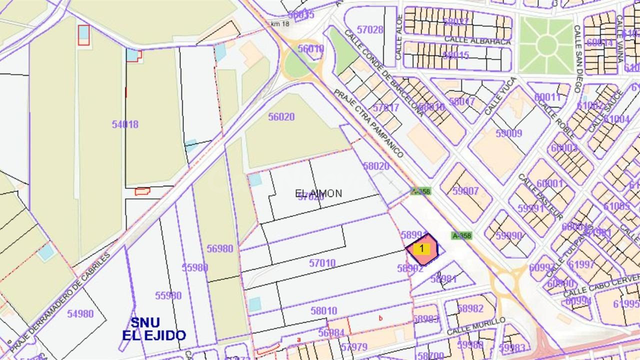 Venta de suelo urbano no consolidado en la pedanía de Pampan - foto 4