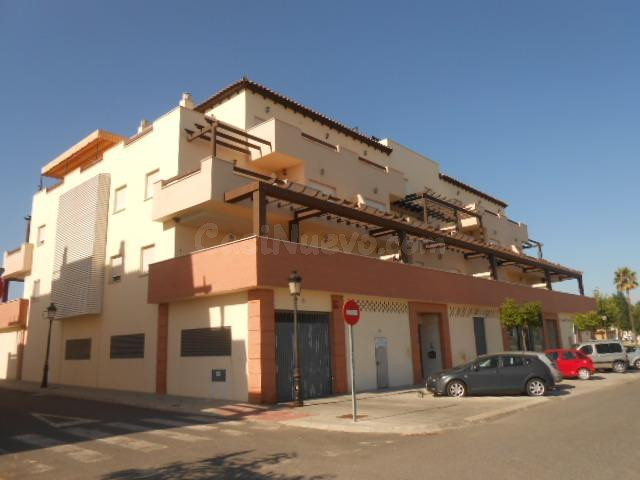 Vivienda + 2 Garajes en La Palma del Condado, Huelva. Activo Inmobiliario Sin Posesión / Alquilado / No se Puede Visitar.