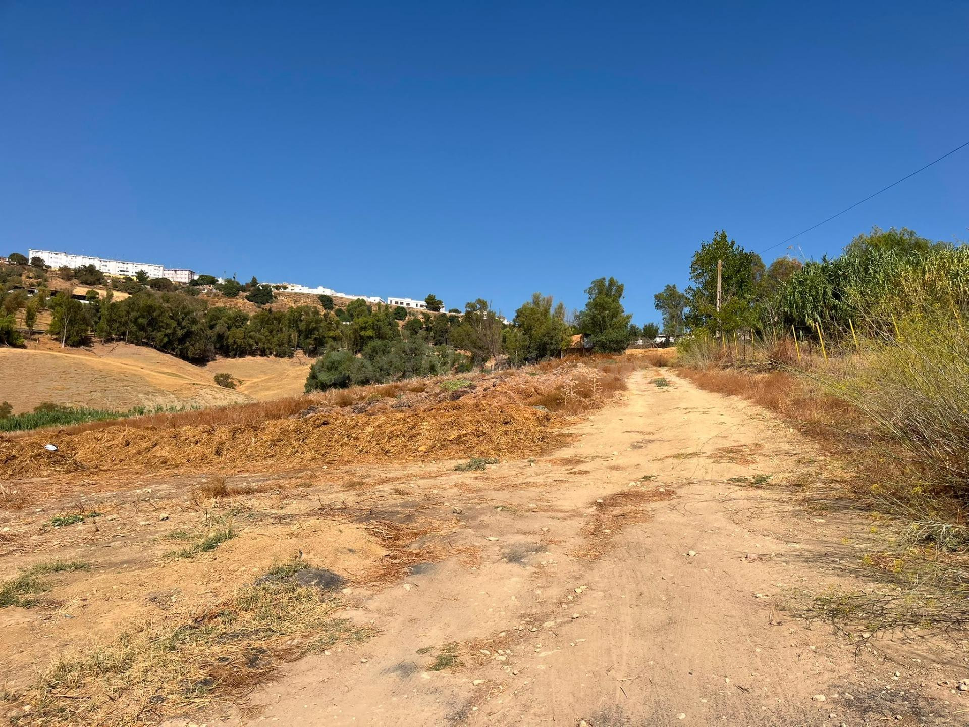 Venta de finca rústica en Carmona (Sevilla)