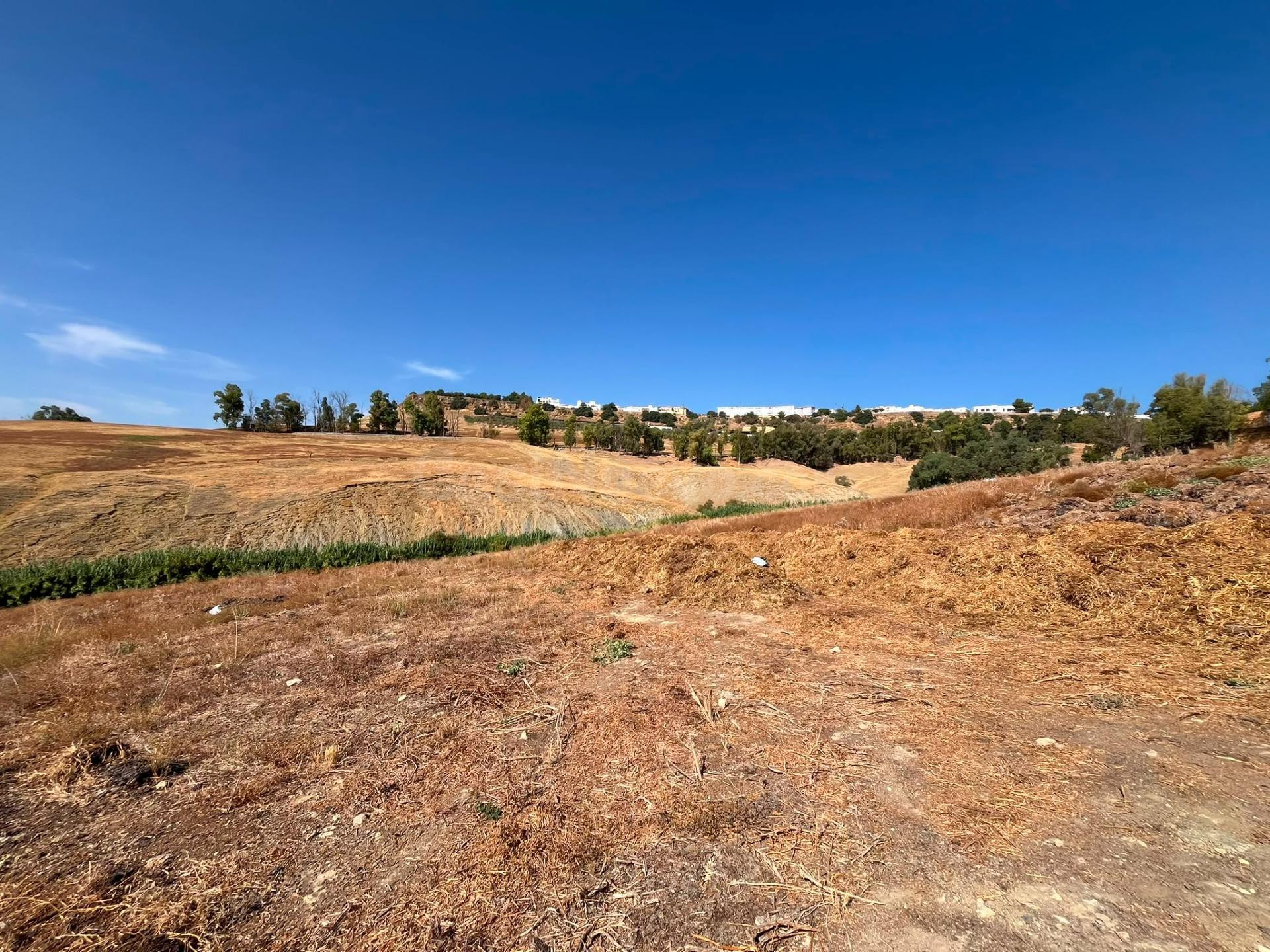 Venta de finca rústica en Carmona (Sevilla) - foto 3