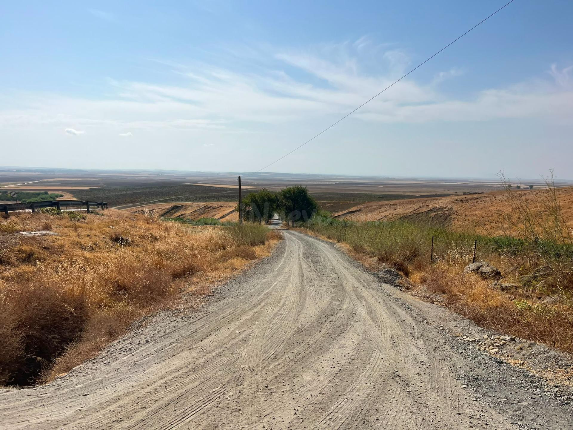 Venta de finca rústica en Carmona (Sevilla) - foto 4
