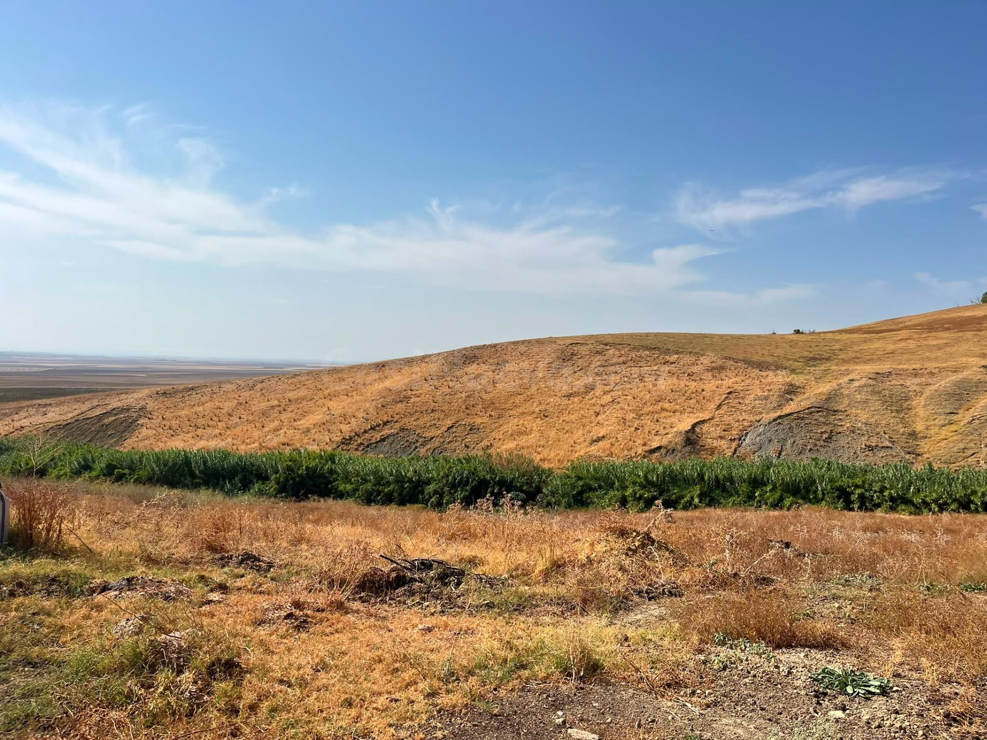 Venta de finca rústica en Carmona (Sevilla) - foto 5