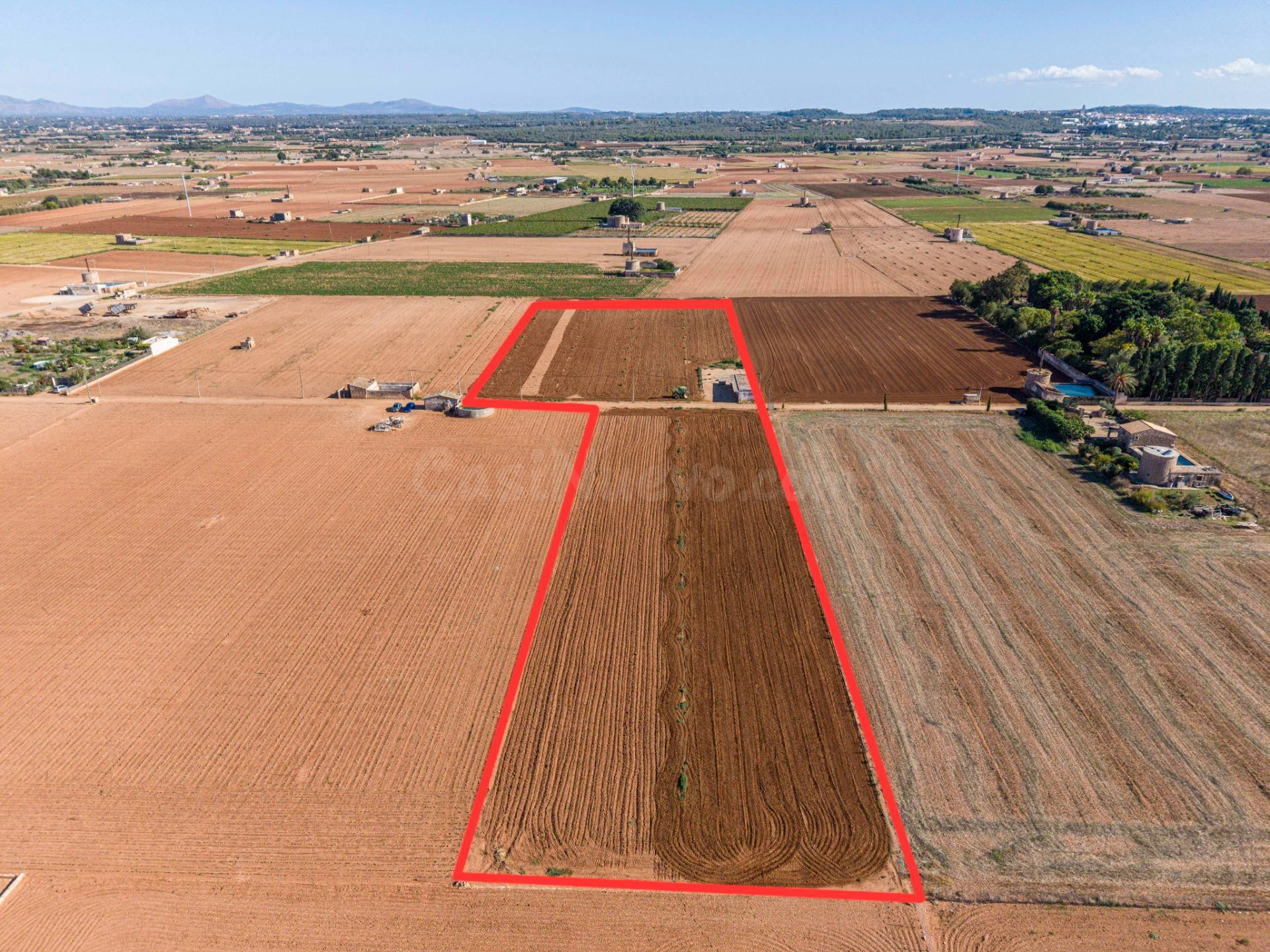 Terreno rústico de 14.206 m2 en Sa Pobla con construcción ag - foto 3
