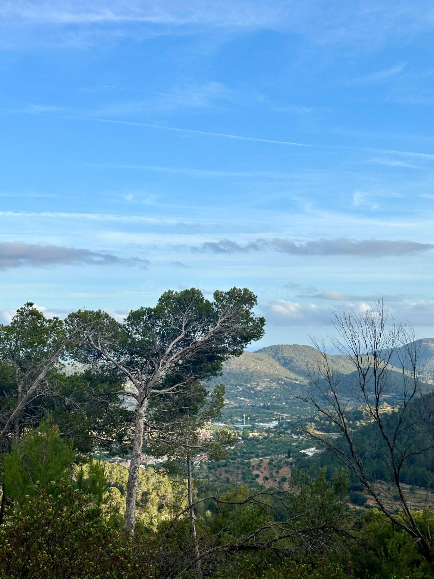 Terreno Rústico de 12.240 m2 en S’Arracó (Andratx) | Vistas al Mar, Cueva Natural y Pago Aplazado