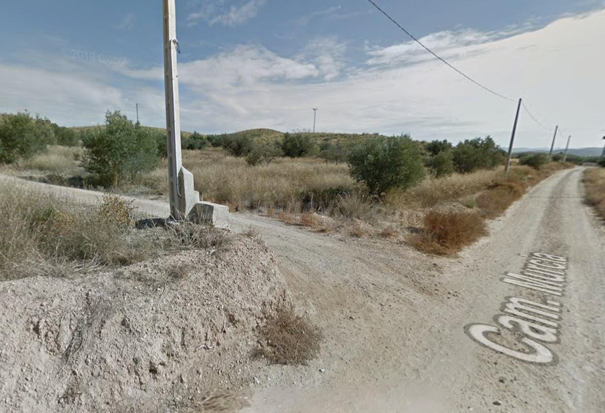 Solar urbano de 503 m2 con 2.510 m2 de olivar en Tobarra - foto 2