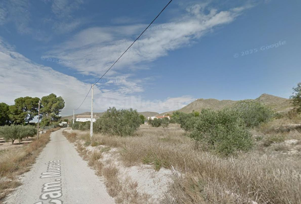 Solar urbano de 503 m2 con 2.510 m2 de olivar en Tobarra - foto 4
